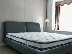 -红星美凯龙(浦江店)