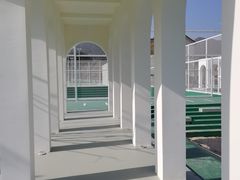-龙坞茶村