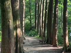 -波尔登森林公园