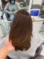 -潘多拉Hairsalon