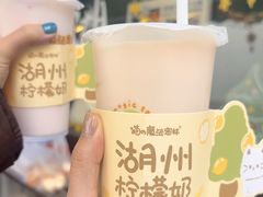 -猫的魔法密林(衣裳街店)