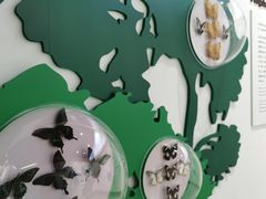 -房山世界地质公园博物馆