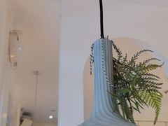 -春树下·树屋花房西餐厅(罍街AS1980店)