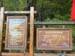 -五女峰国家森林公园