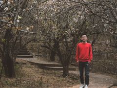 -广州市流溪河国家森林公园
