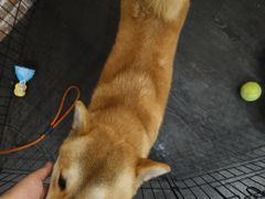 -呼吸沉浸式剧场(甘露园店)