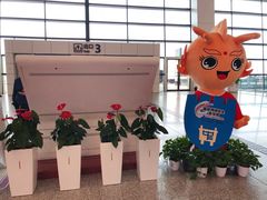 -郑州新郑国际机场