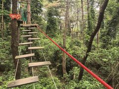-芦仙山景区-飞越丛林探险乐园