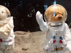 -济州岛泰迪熊博物馆