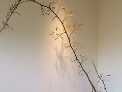 -小茶闲舍·观景商务茶馆(广州塔店)