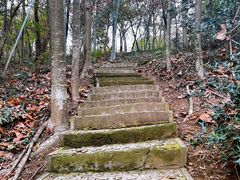 -上海佘山国家森林公园天马山园