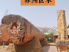 -国家植物园南园