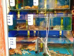水产区-香满居张记小厨私房菜(青岛站店)