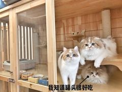 -Double Rui宠物酒店