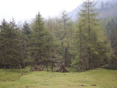 -硗碛藏寨·神木垒景区