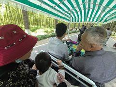 -黄海国家森林公园