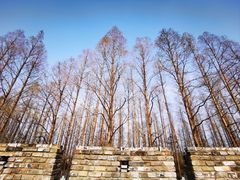 -南京城墙景区