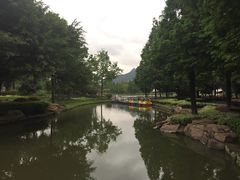 -河泥荡文化公园