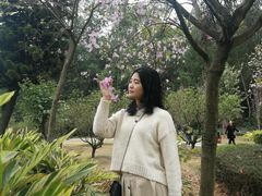 -南国桃园旅游度假区