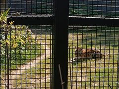 -武汉动物园