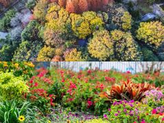 -上海共青森林公园