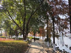 -飞来湖湿地公园