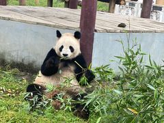 -杭州野生动物世界