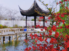 -苏州上方山国家森林公园