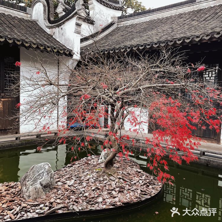 一尺花园1号店，去了一次就爱上了