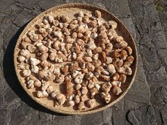 -天燕原始生态旅游区-天门垭景区