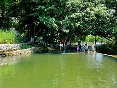 -成都市活水公园