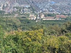 -灵岩山风景区