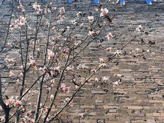 -东华门大街小区