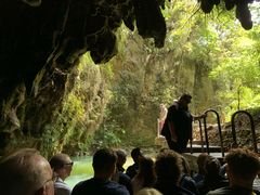 -怀托摩萤火虫洞