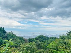-神户市立六甲山牧场