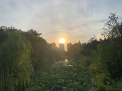 -昆山城市生态森林公园