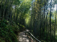 -千泷沟大瀑布旅游区