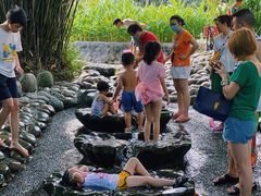 -成都市活水公园