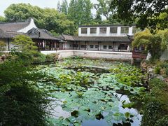 -上海醉白池公园