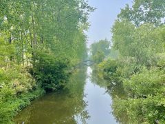 -合肥滨湖国家森林公园