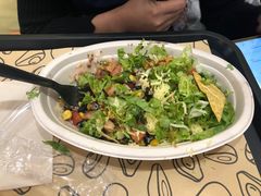 -油梨树 AVOCADO TREE(亮马桥店)