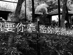 -夜宴江景餐厅