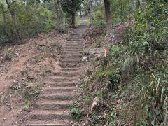 -青龙山国家森林公园