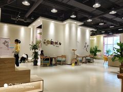 大堂-藏猫猫咖啡主题馆(中央大道店)