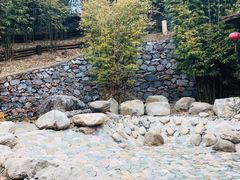 -崇阳三特浪口温泉