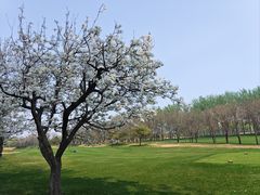 -龙熙温泉高尔夫俱乐部