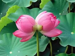 -中国工商银行(北京远洋山水支行)