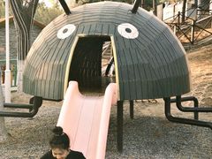 -青龙湖公园