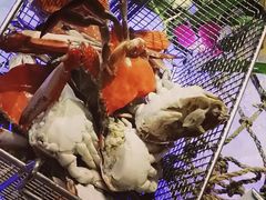-上海皇廷花园酒店·西餐厅·自助餐