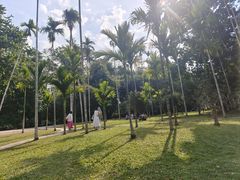 -中国科学院西双版纳热带植物园